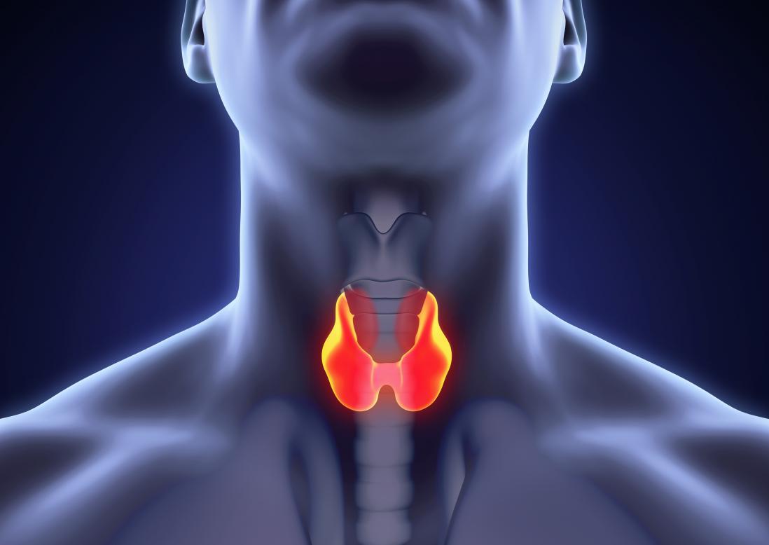 Spartalis Thyroid