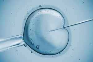 Γνωρίζοντας την εξωσωματική γονιμοποίηση