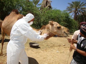 ΠΟΥ: Εντοπίστηκε κρούσμα MERS στα Ηνωμένα Αραβικά Εμιράτα