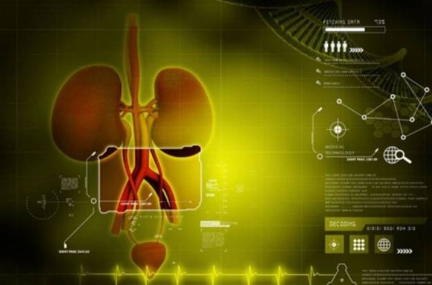 Αυτός ο παράγοντας που μας αφορά όλους ευθύνεται για τον καρκίνο του νεφρού &amp; της ουροδόχου κύστης