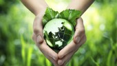 Παγκόσμια Ημέρα Περιβάλλοντος: Ενημερωνόμαστε και αναλαμβάνουμε δράση