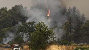 Οδηγίες από το Υπ. Υγείας για την προστασία από τις πυρκαγιές και τα υπολείμματά τους